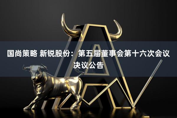 国尚策略 新锐股份：第五届董事会第十六次会议决议公告